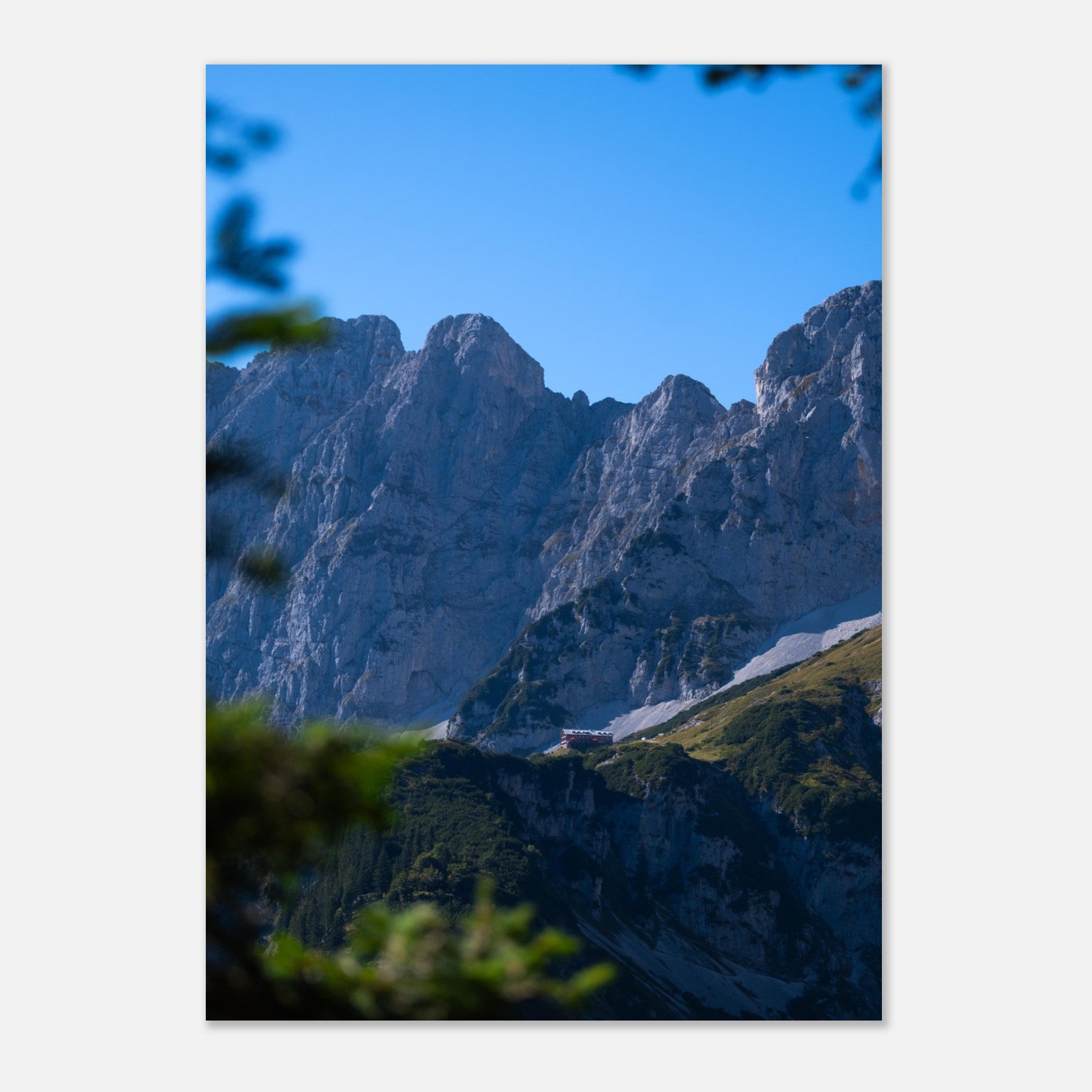 98d79ca0-7ce7-4ae5-9470-903210cc087a