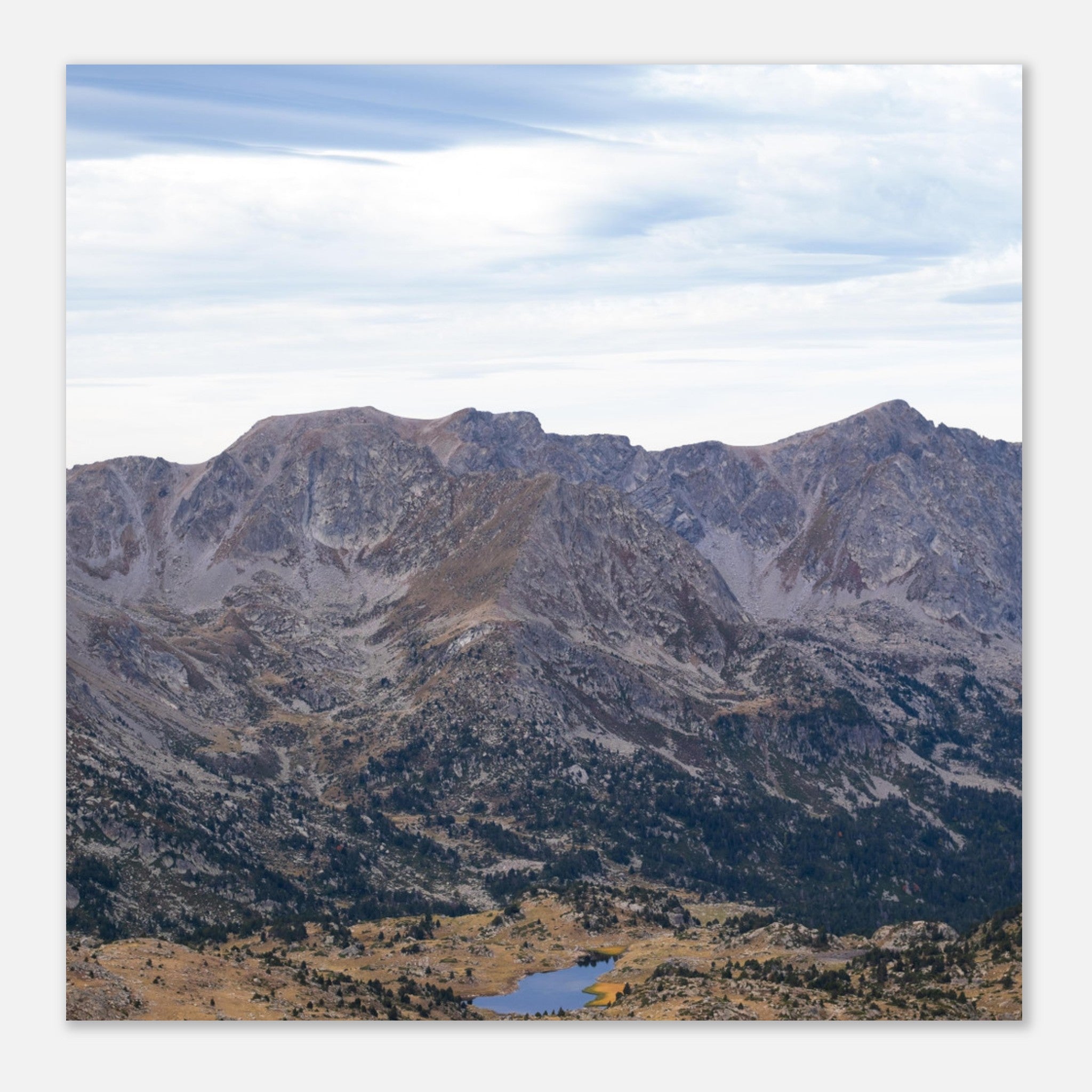 9b07ae4e-743b-42b9-8788-90b38cf63236