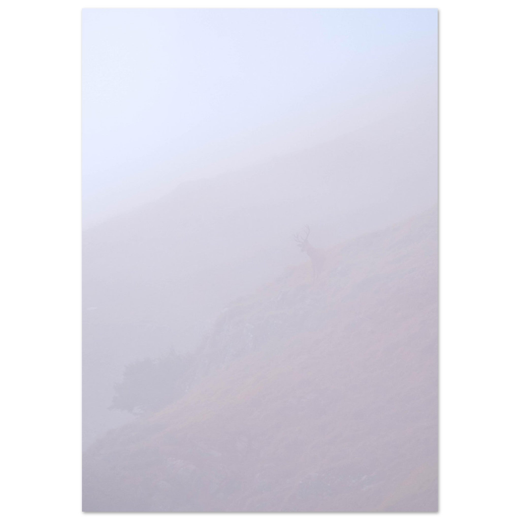 9c921e93-e29a-4185-b46a-7fc0c5bcdcf4