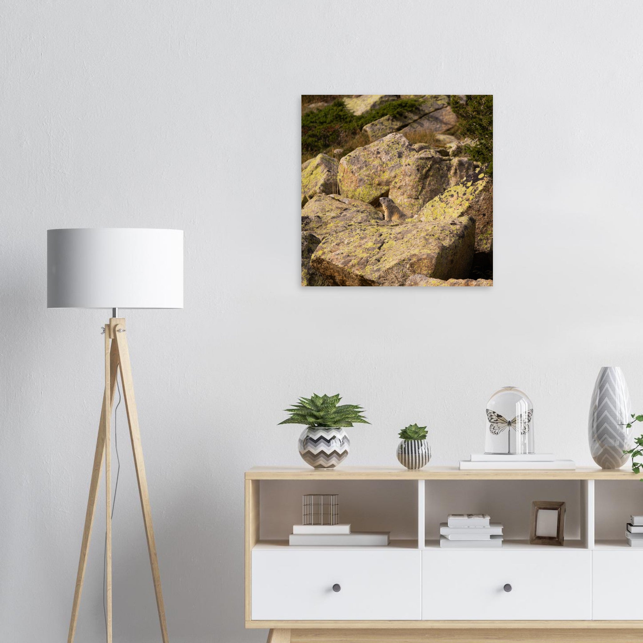 a8fece1b-e00e-4915-aa6f-c68d342dbda0