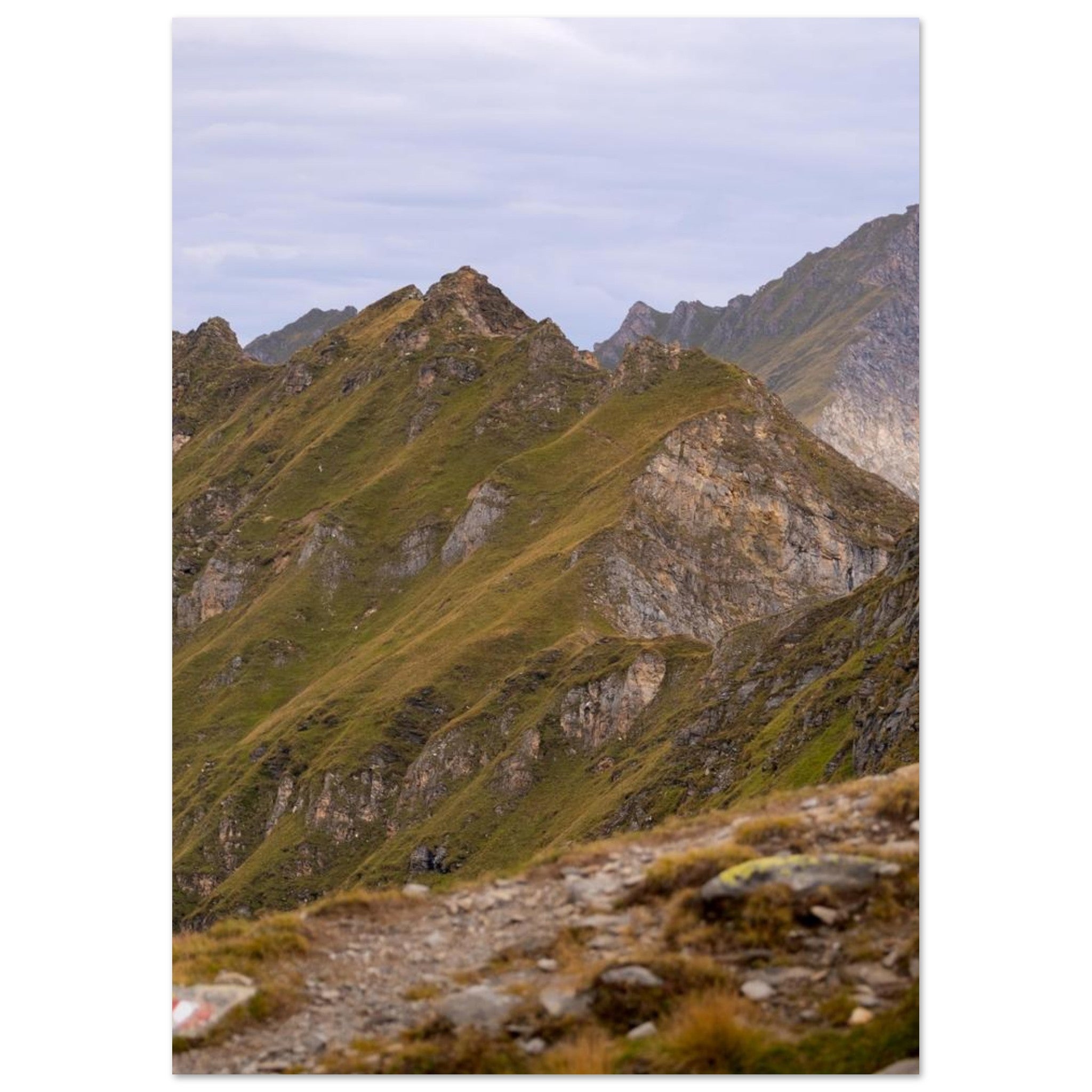 b0708daa-9aeb-43fa-ad7c-a2b26a143367