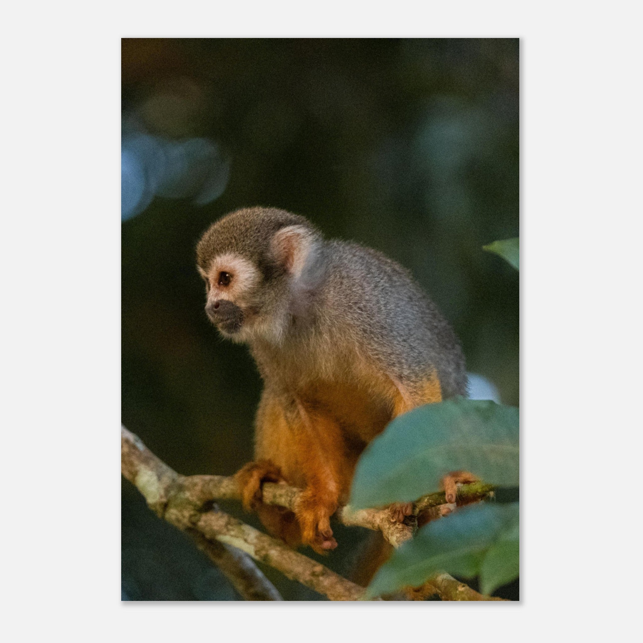 b0fc485a-3ad9-42de-bfb4-aa8464ee1bfe