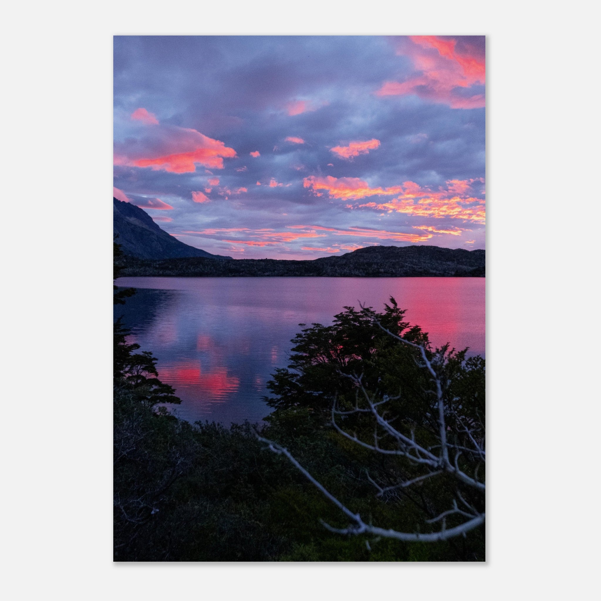 b2302691-b049-46b5-82db-df769210100d