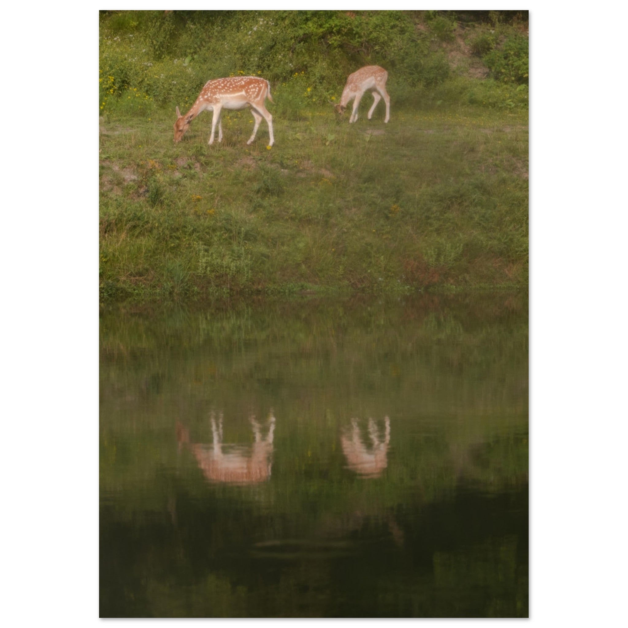 23d58dfc-0d79-4f31-968e-465013c8fa43