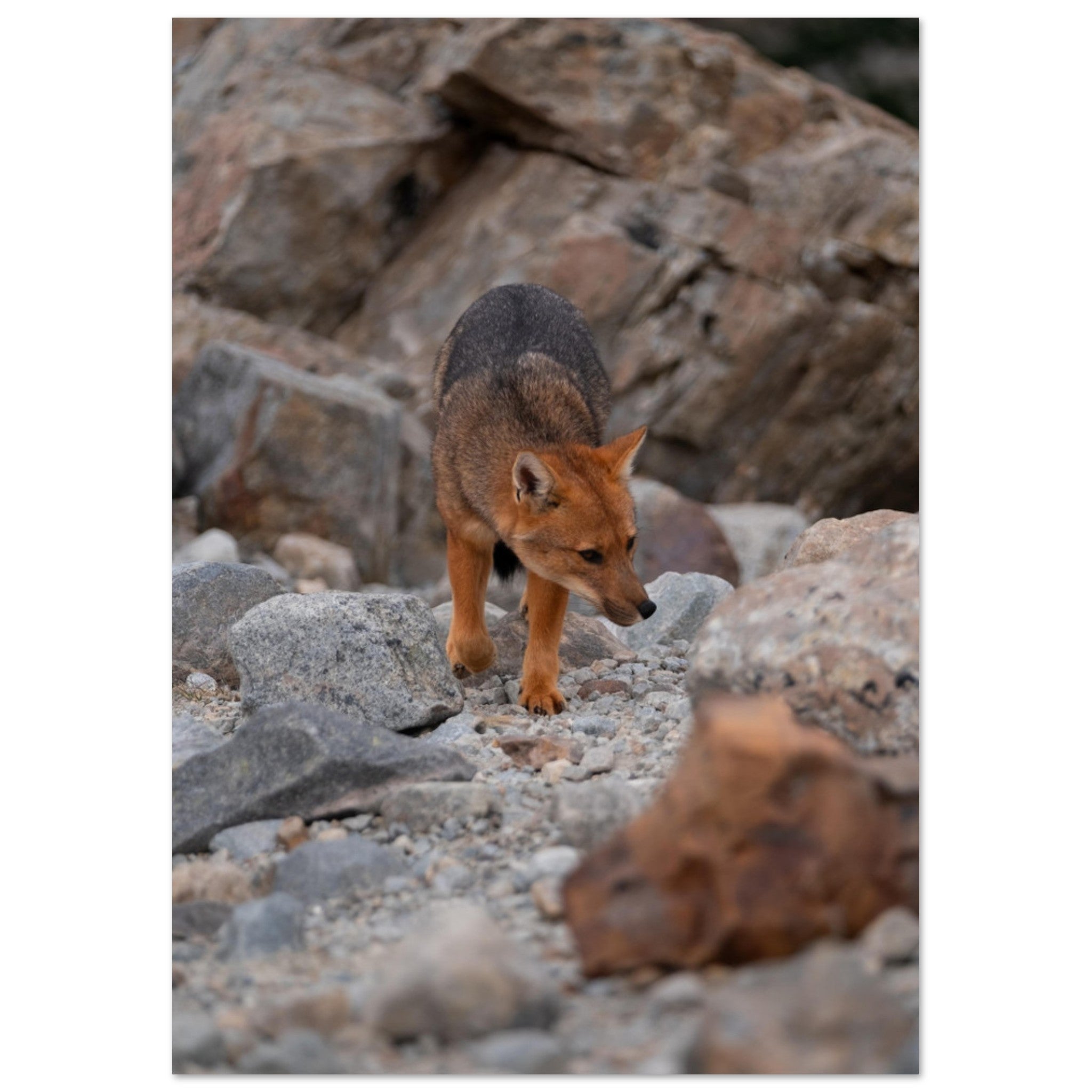 b6caa919-e391-46c3-8031-70d534cdb687