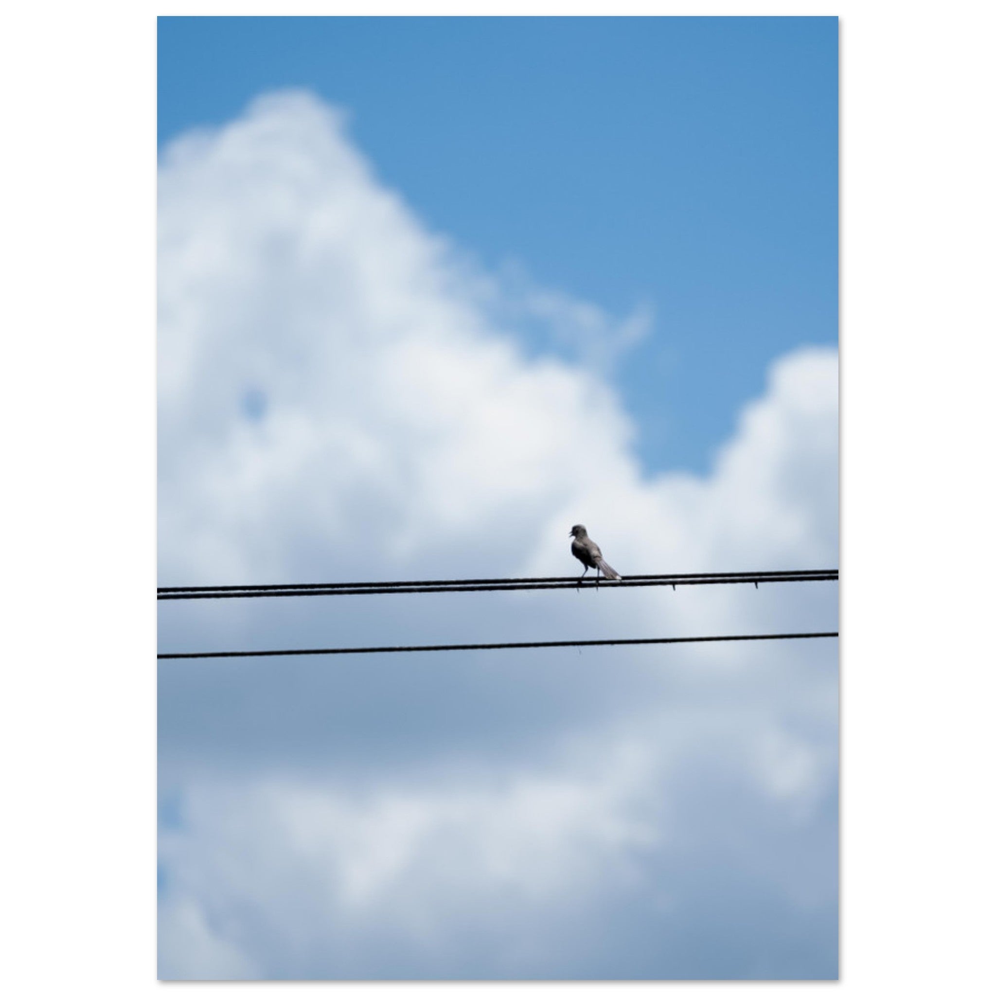 767fd433-ce4f-4f29-bd6d-1d37213e575f