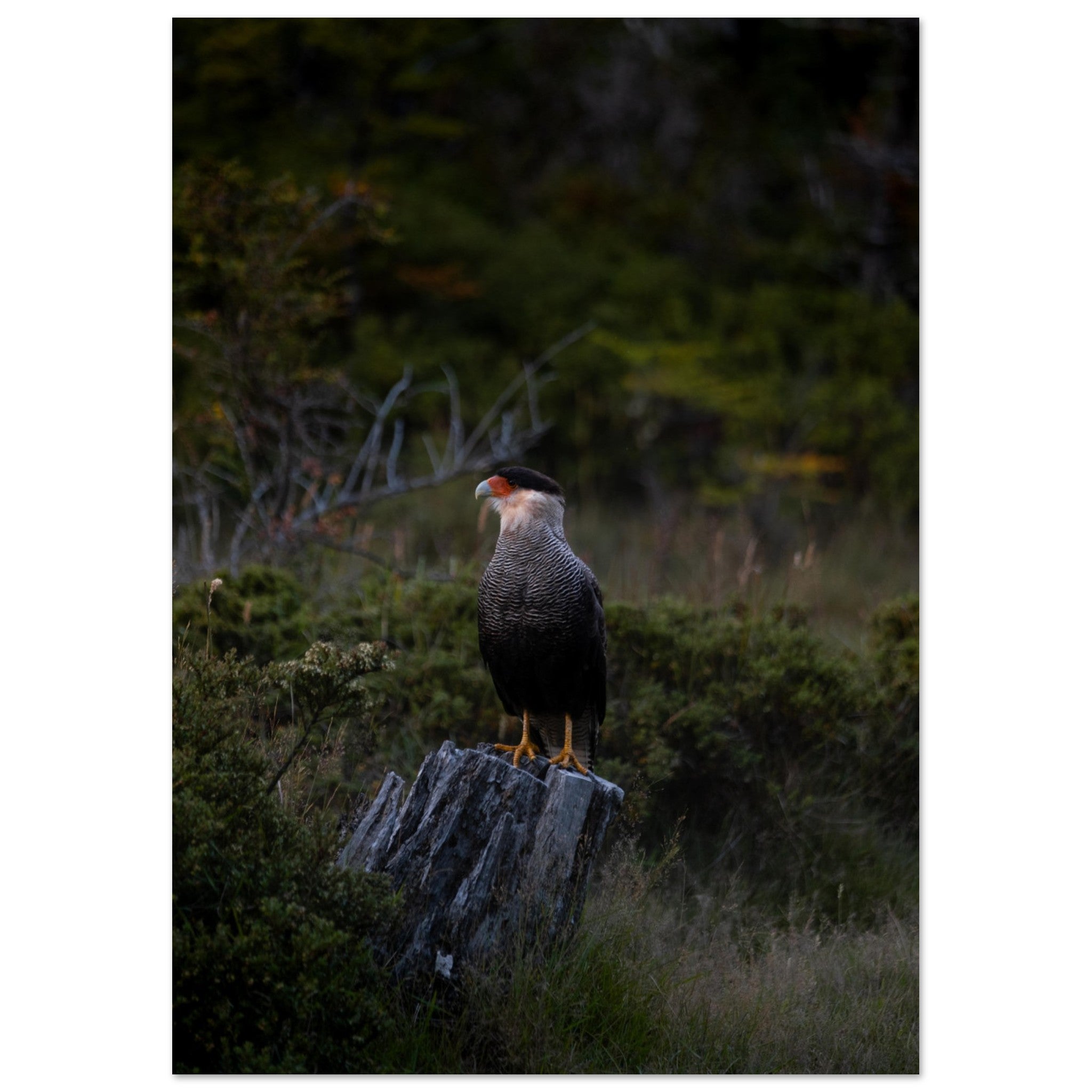 b7ad69b1-de13-4ed8-b7b7-0c45797c357e