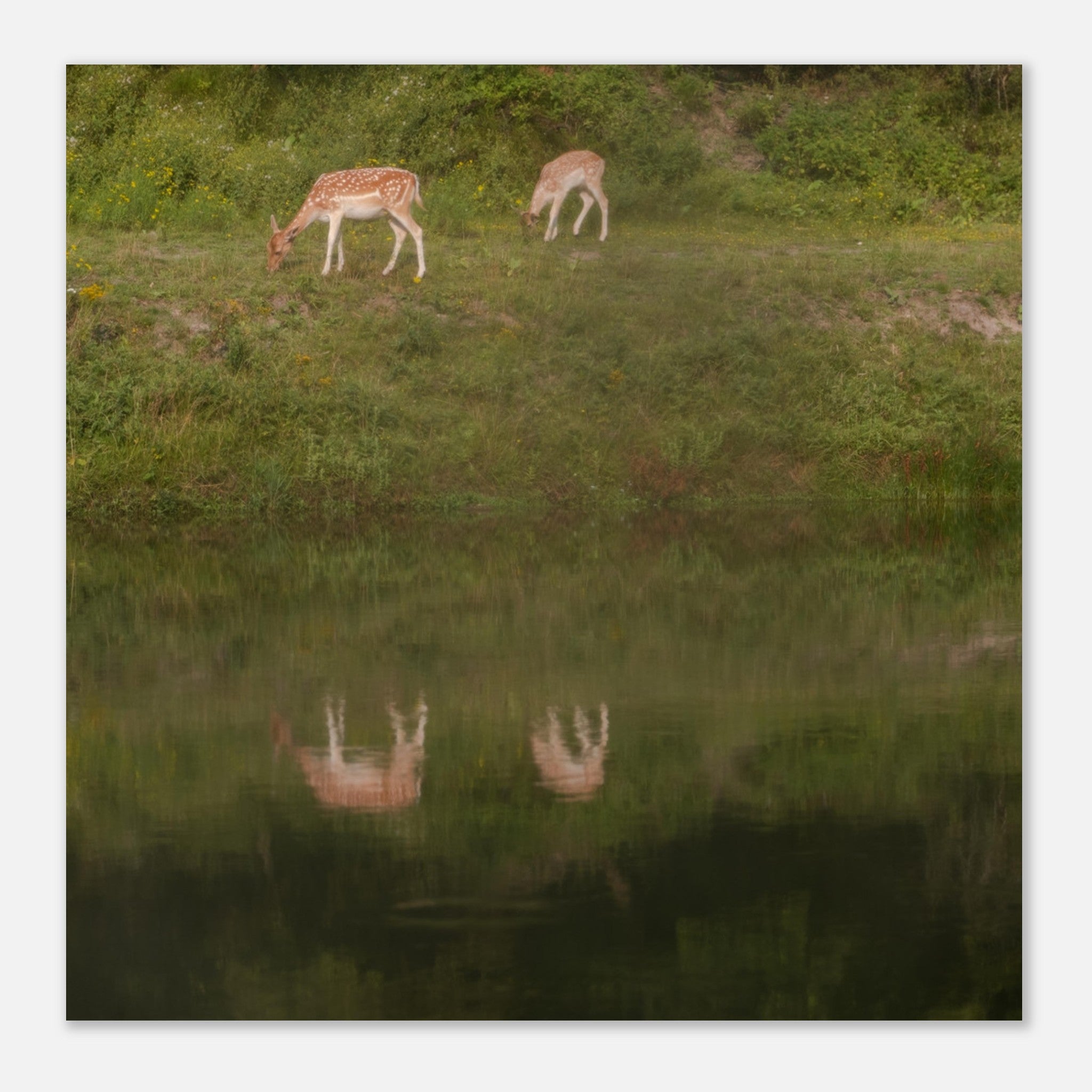 b9351887-1b84-4dfb-8f8d-a73d0f52f056