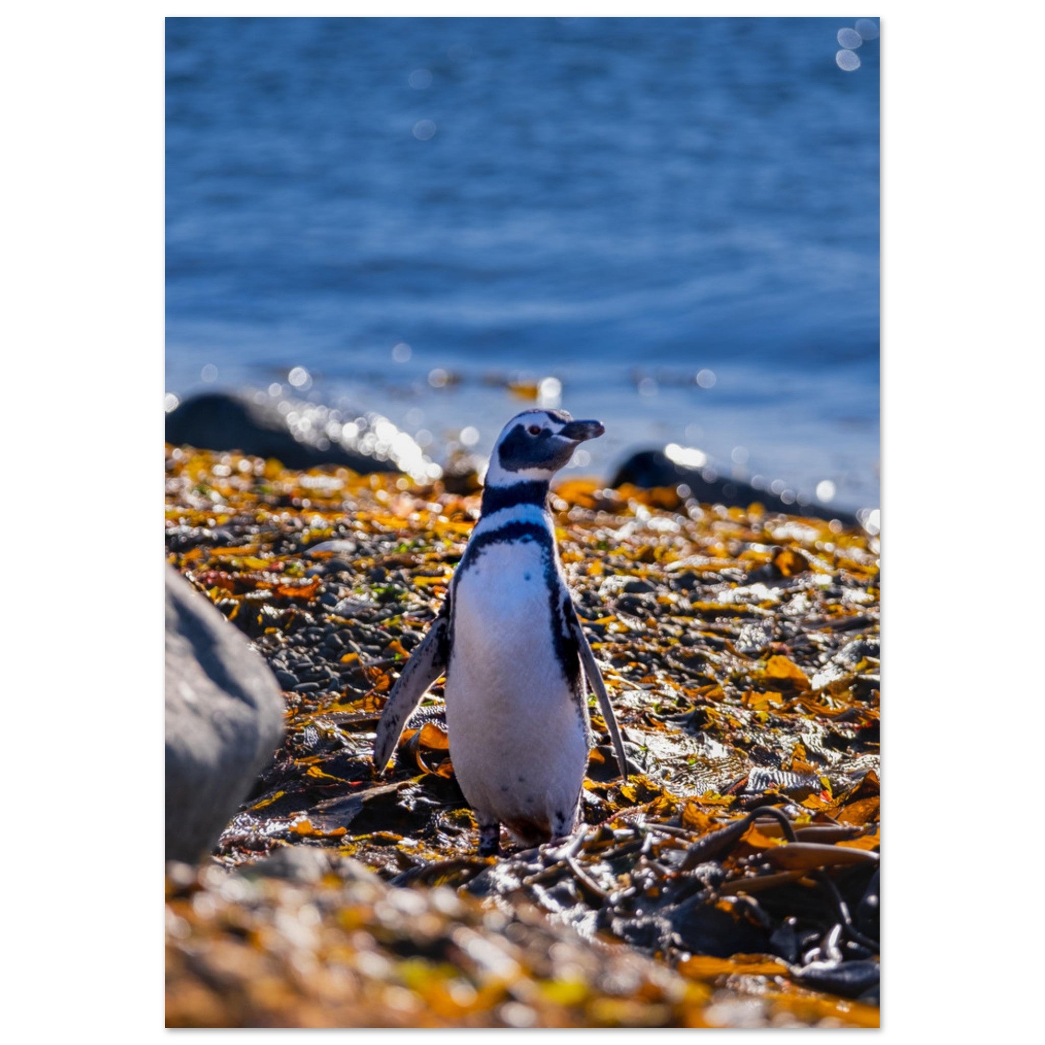 dde4962d-01e1-47ad-9d51-97f7d70972f6