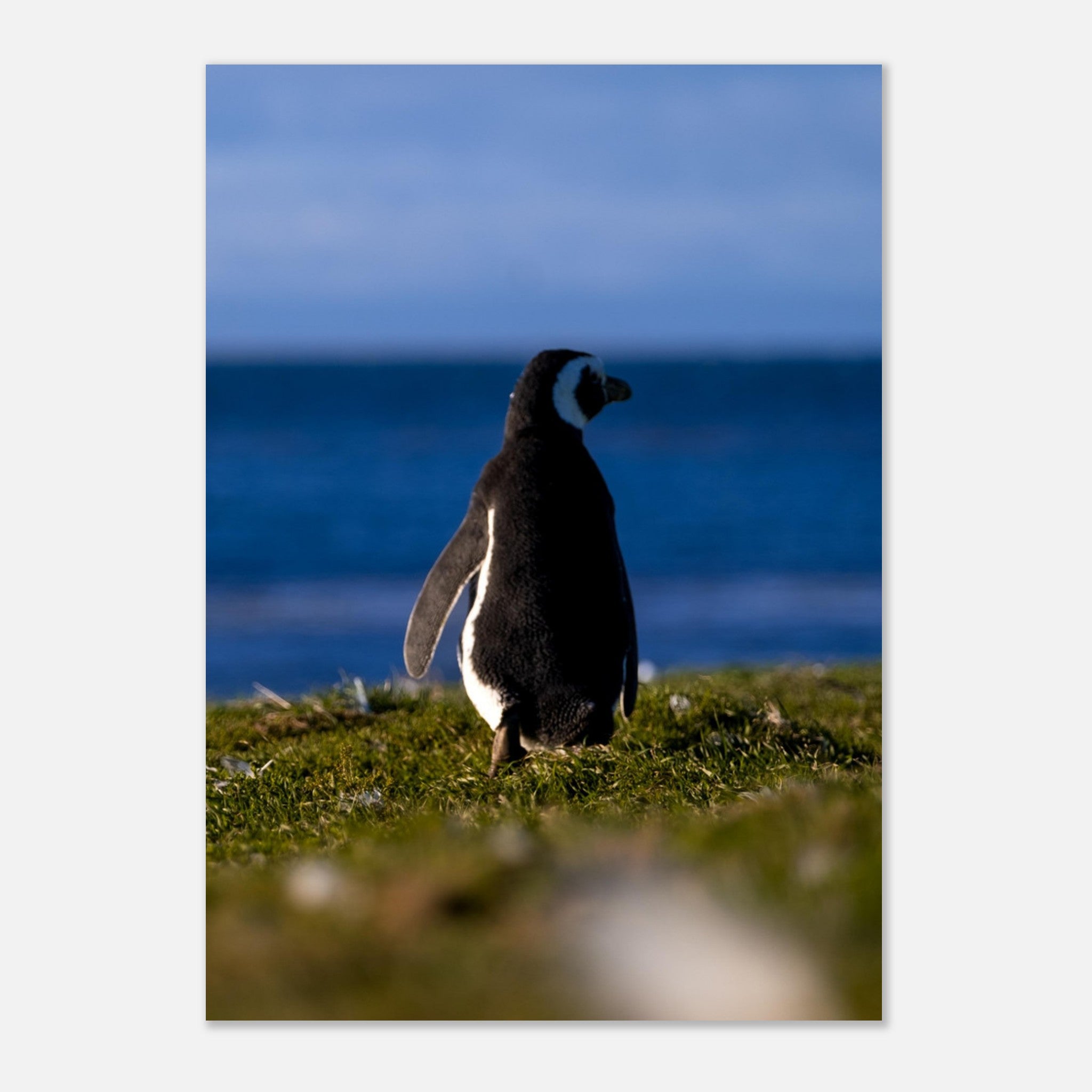 bfbfd580-d875-4fba-9a07-9ac9a5a9cc0d