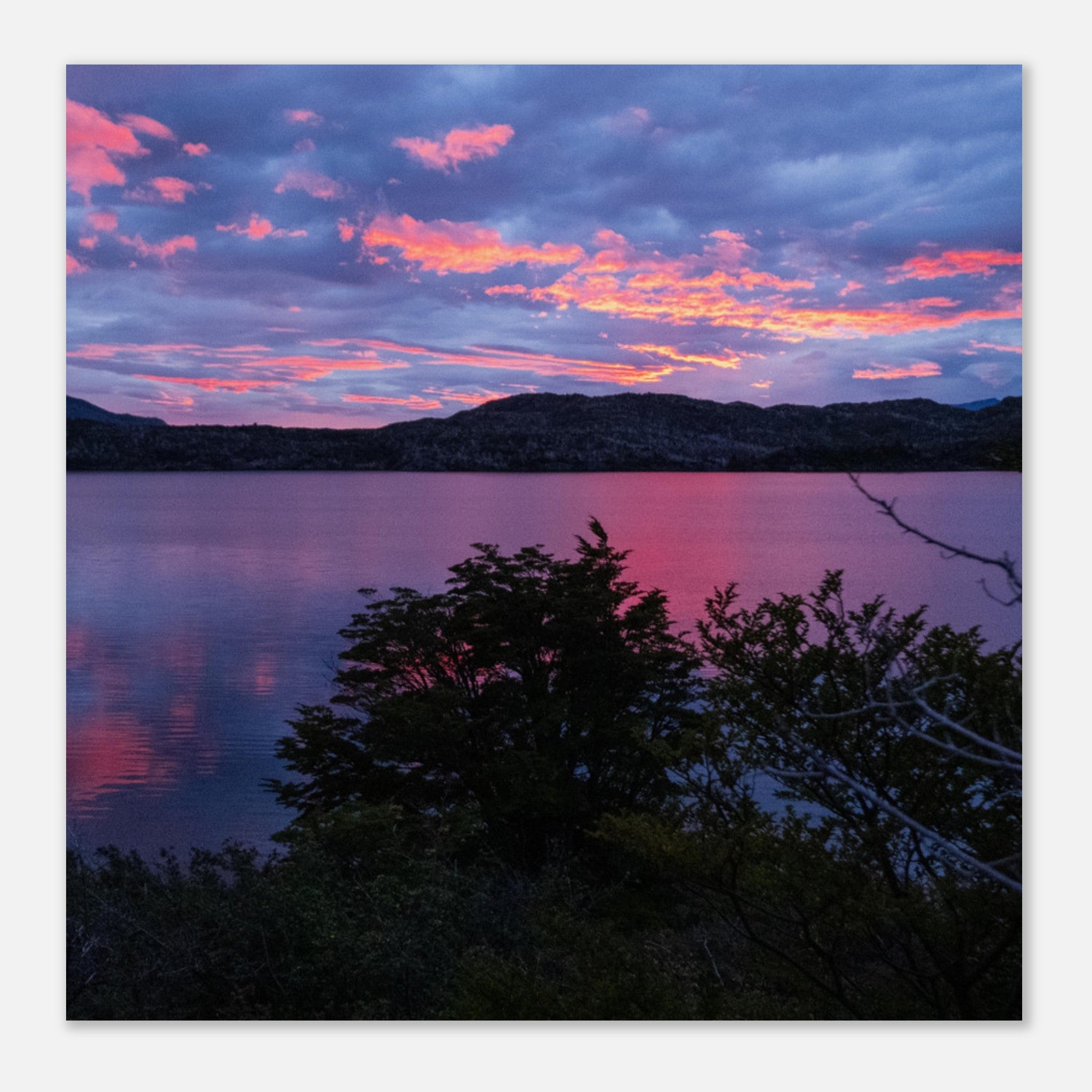 c205ce6e-ec62-4b7a-a006-1863206486ef