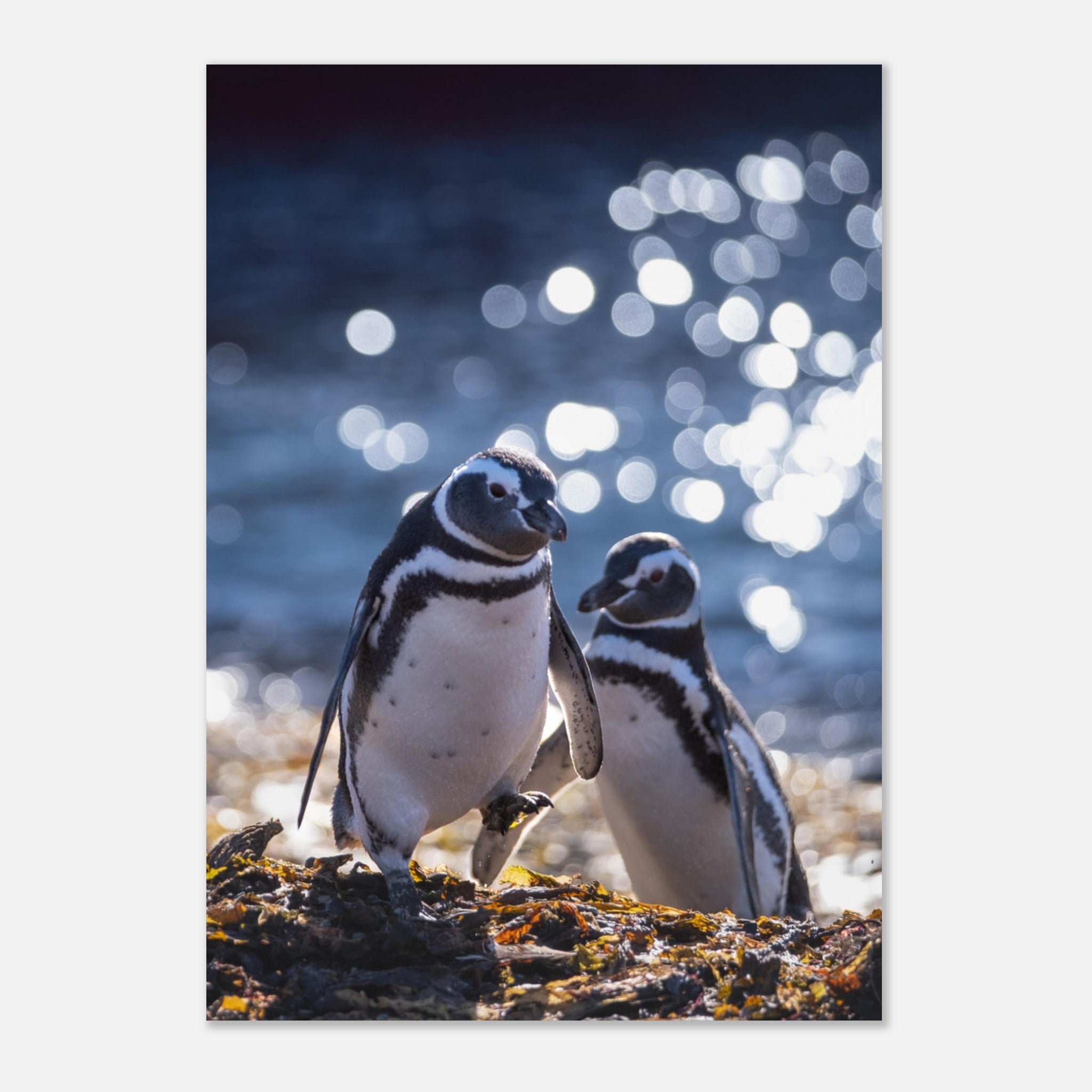 c24fe461-e5cc-4f0b-b316-ecb4f40ff615