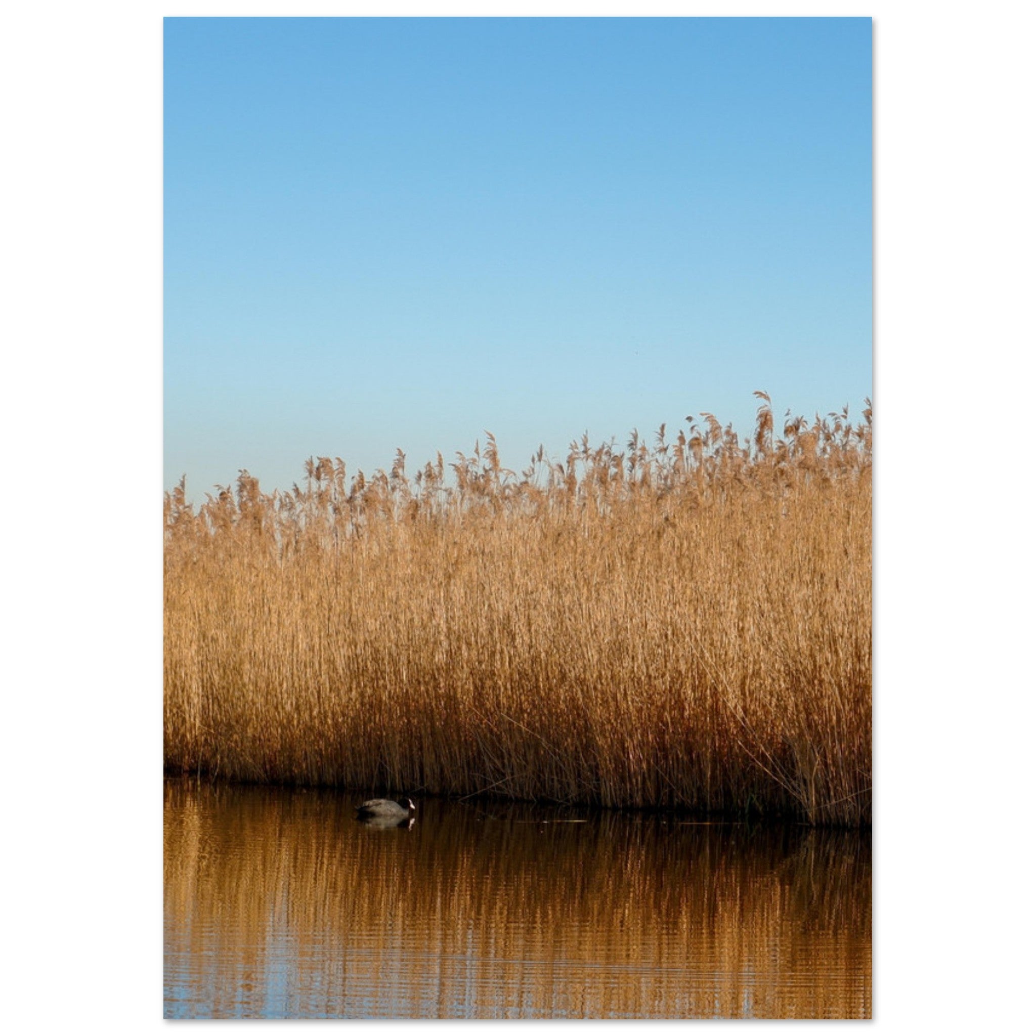 accdd42a-6e0f-43bc-923e-3463f9bb0ced