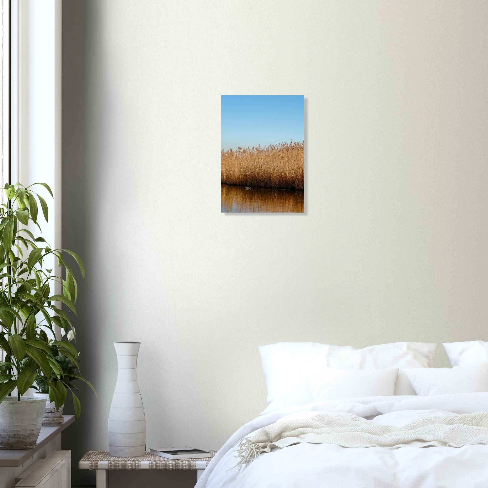 c9a77b93-123d-4729-9655-06d7fe6e703c