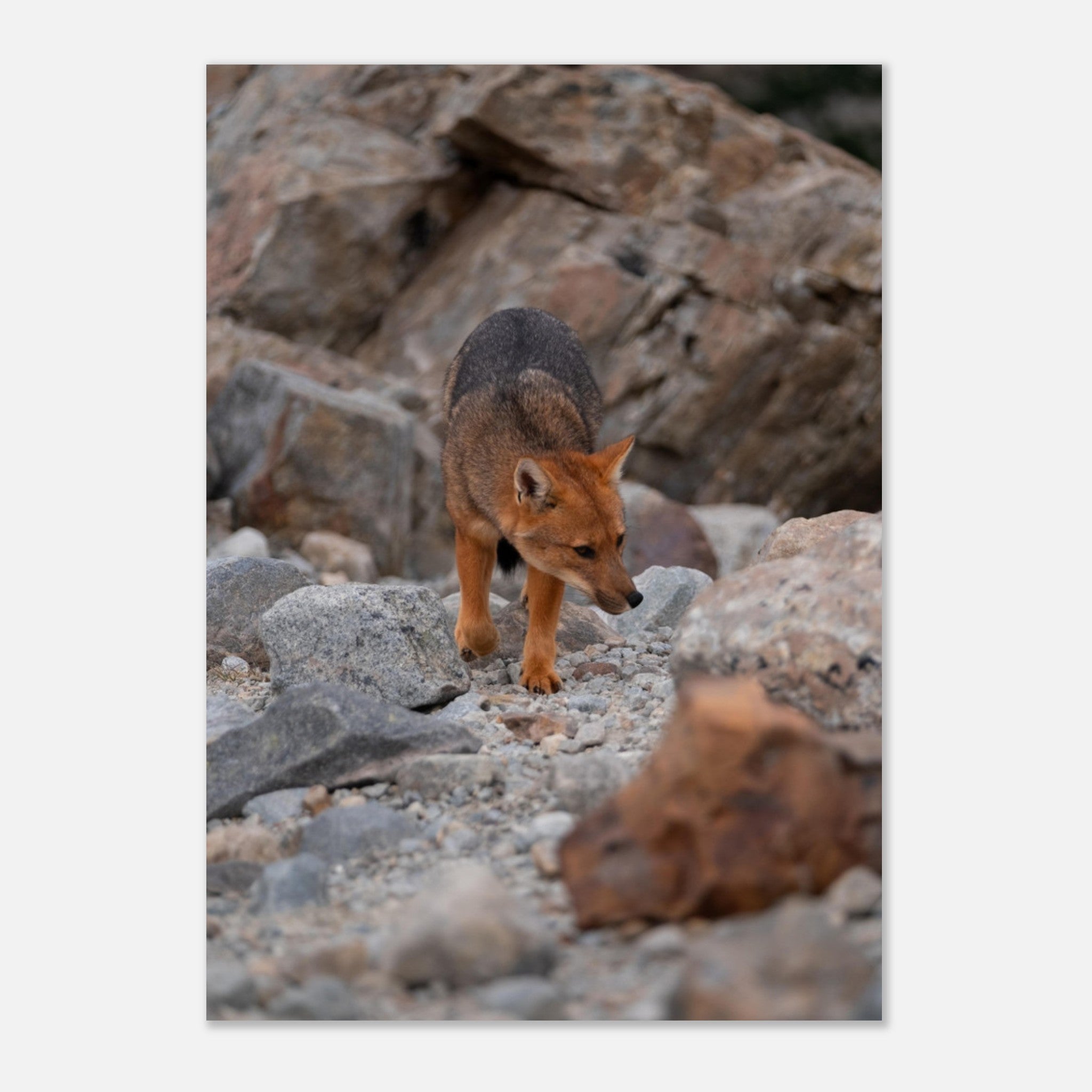 ca85cc27-a38e-4478-9119-93fc2ebe1bfe