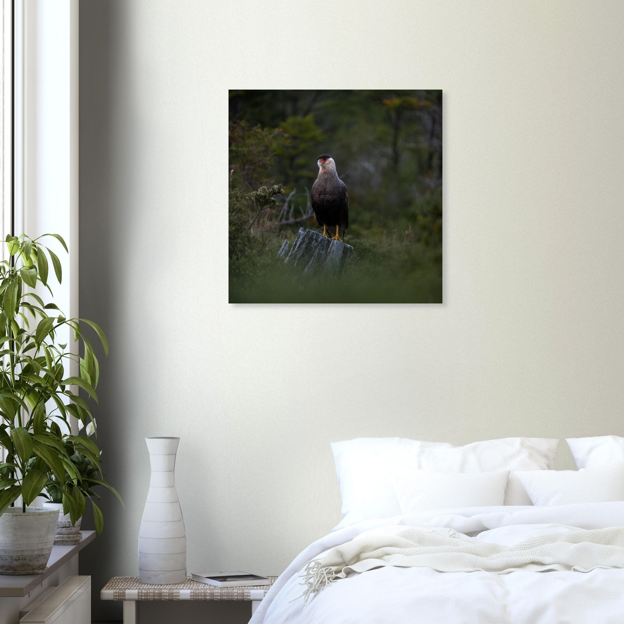 cf9ac52e-ce87-4b08-a205-16912f950f0e