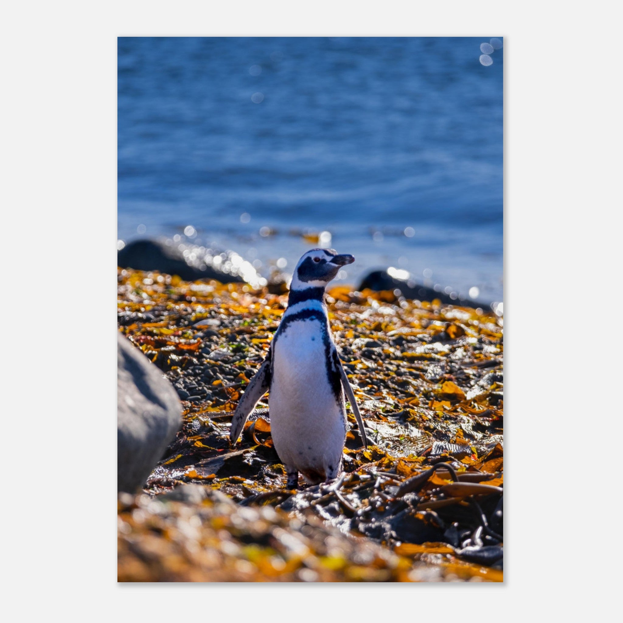 dde4962d-01e1-47ad-9d51-97f7d70972f6