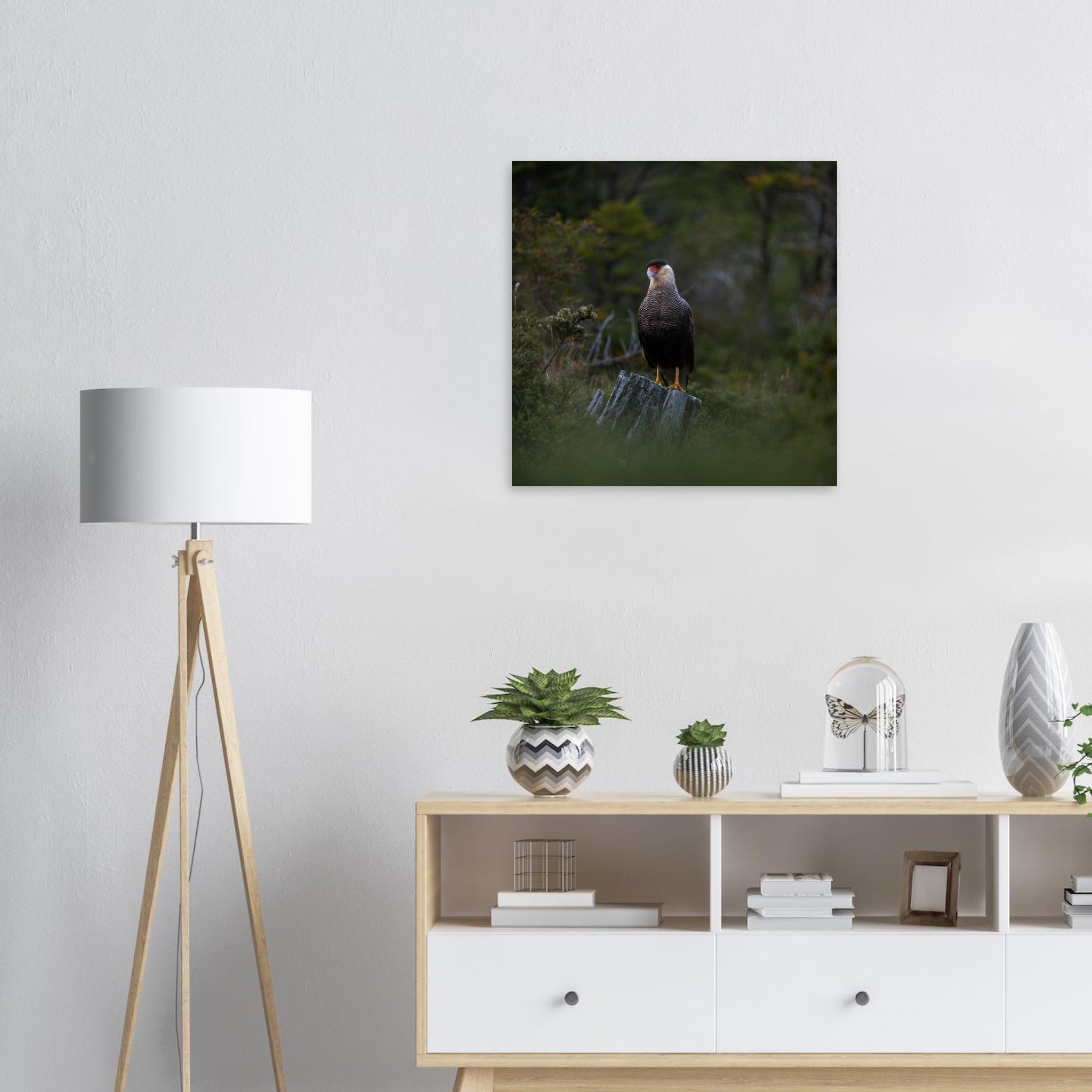 dff50662-08c9-4900-b044-714fd9e8ef93