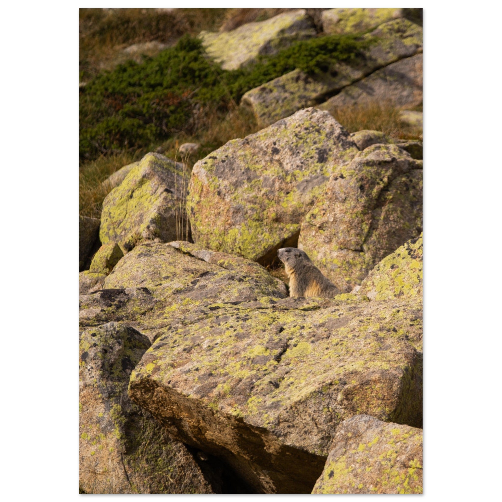 eae128c7-1390-47f6-a87b-126bbf638f28