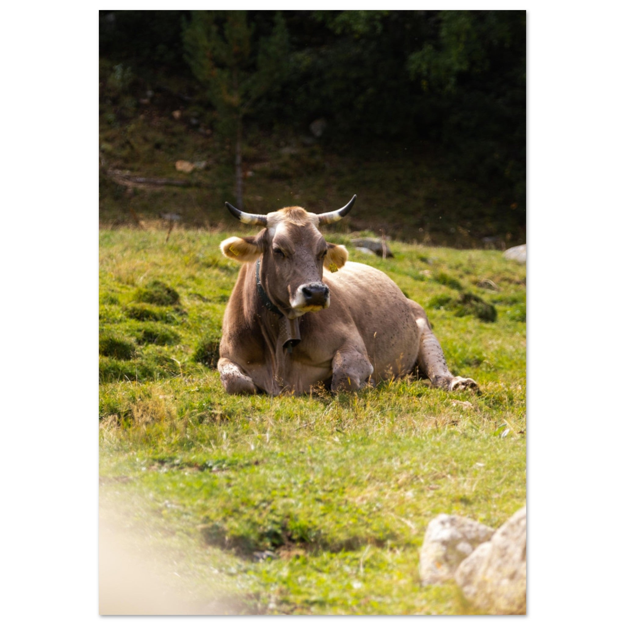 f44f6335-f676-44fa-a1fa-ea6f2d341ef2