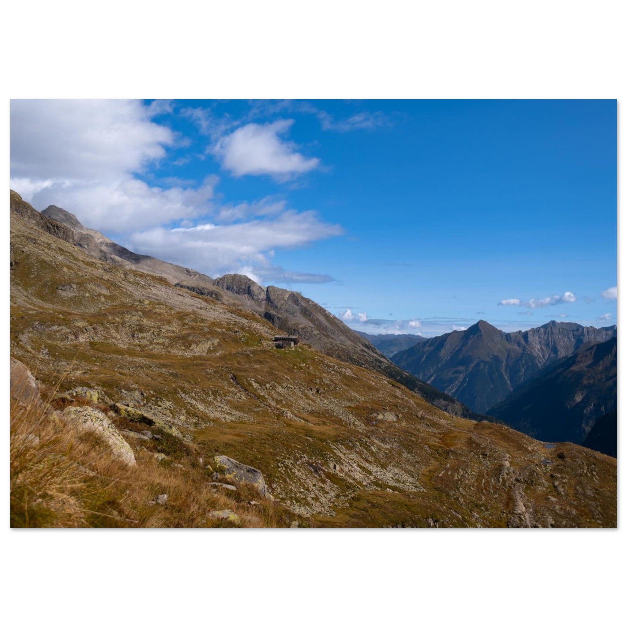 399d413a-b537-4425-a83d-bf98fe457d18