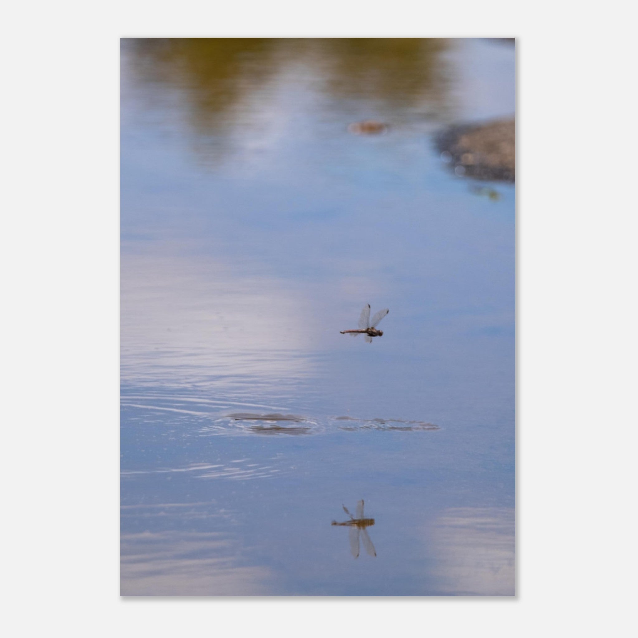 f64a5af4-ca41-407a-8d2a-15a626e56202