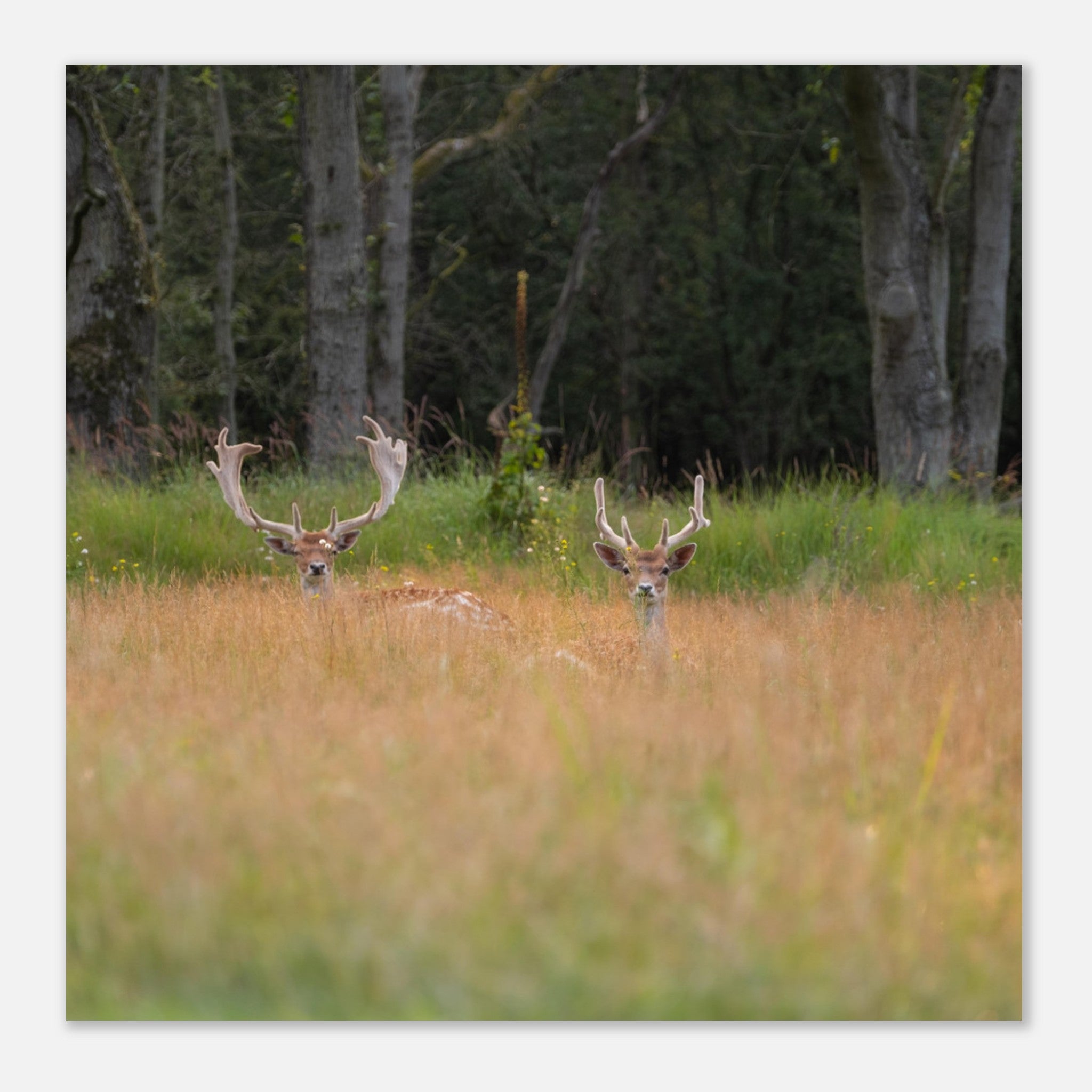 f69271c7-fa64-42c0-a7cf-06c9bc46bd5d