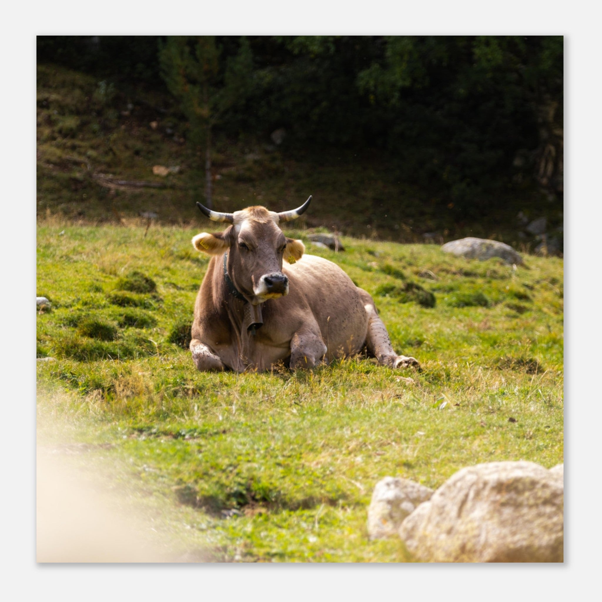 ff314c6e-5cc6-409f-a246-946ba1593c73