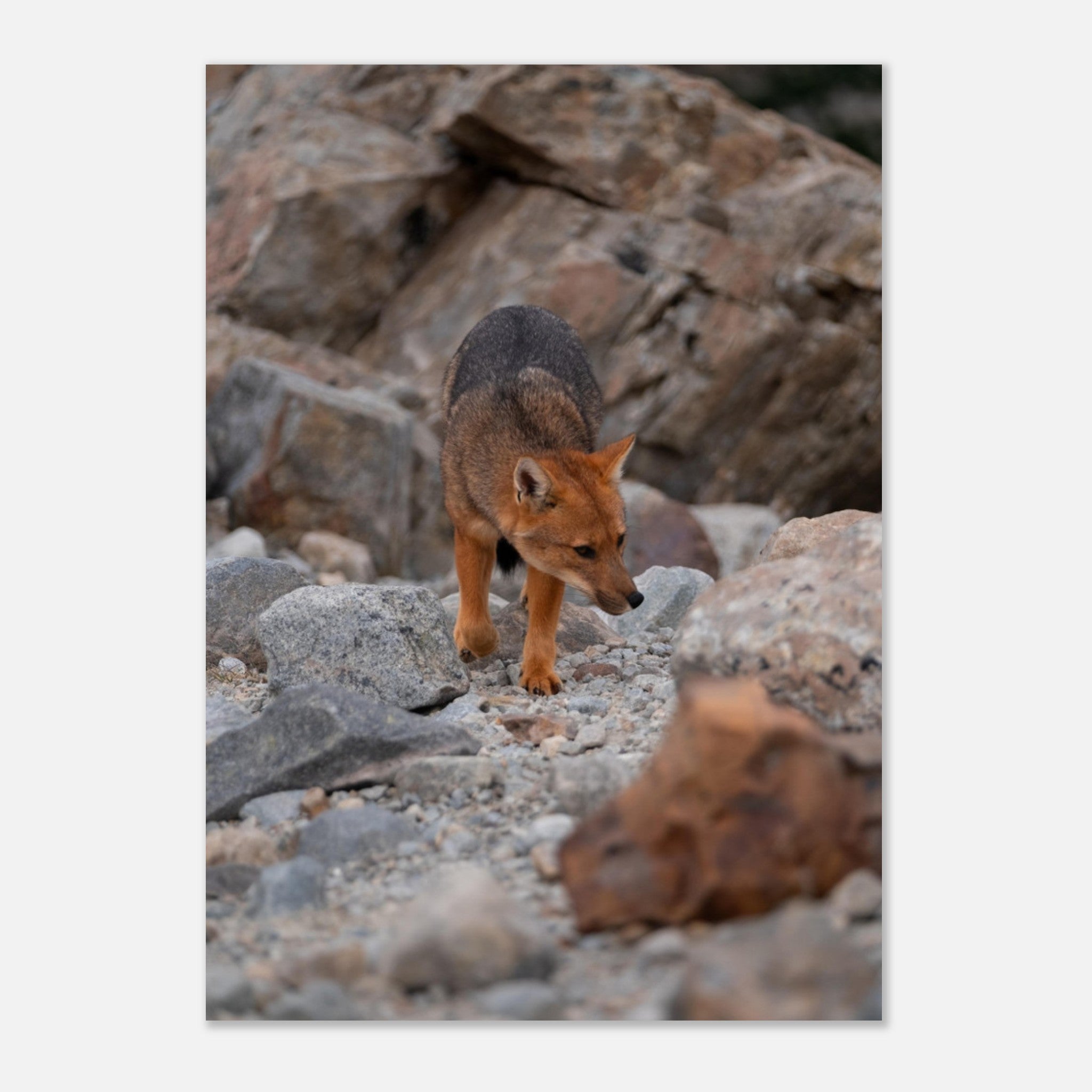 ff422c49-2465-4ffd-b026-2a0851d65c49